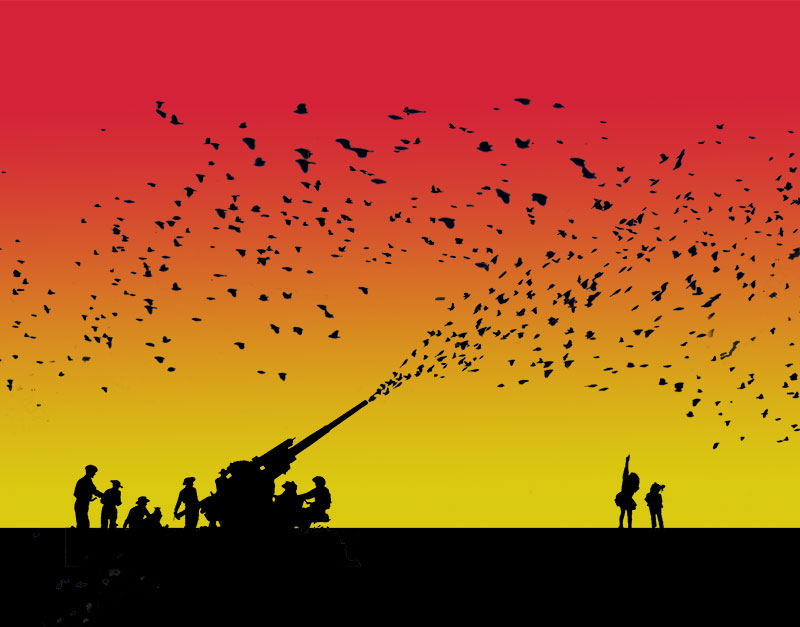 birdgun