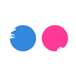 Flickr
