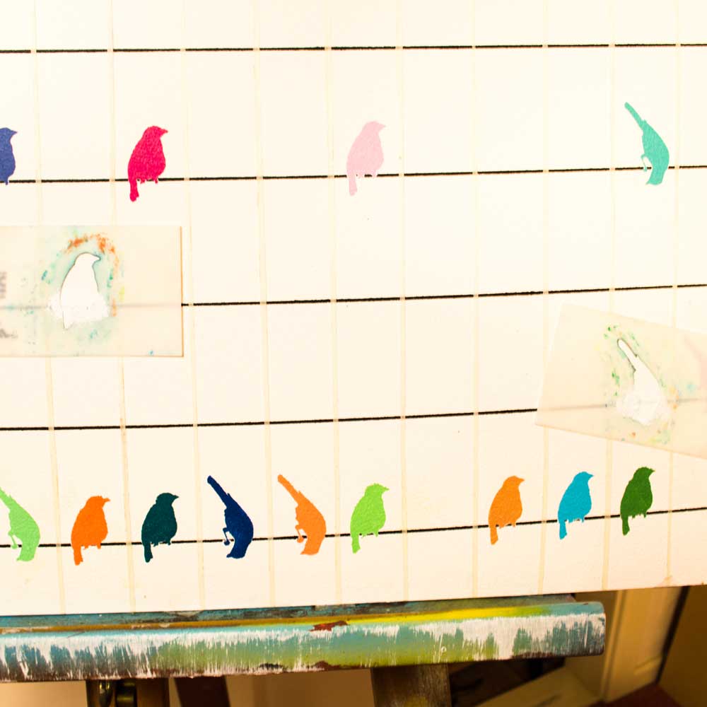 birds