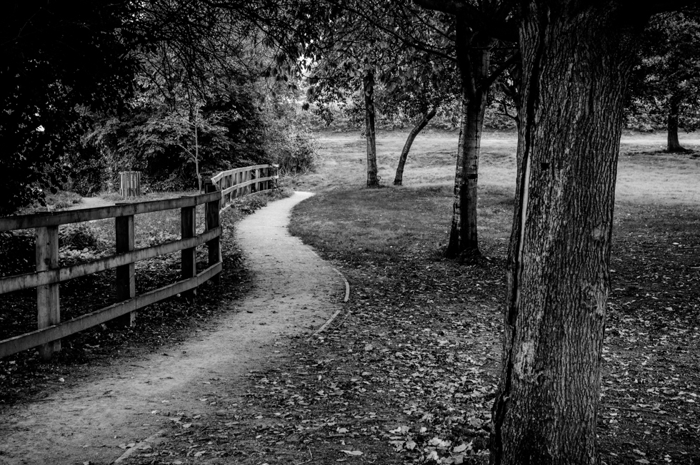 Winding Grey