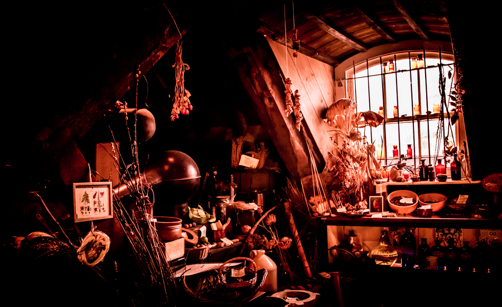Autumnal Window
